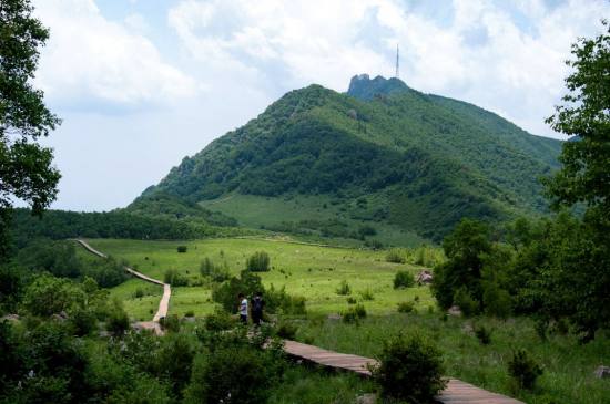 百花山